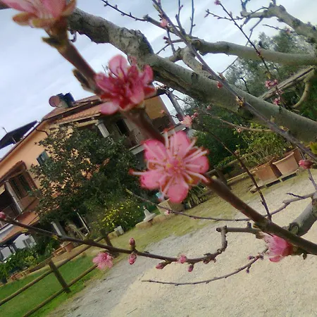Farm stay Agriturismo Montefabbrello *